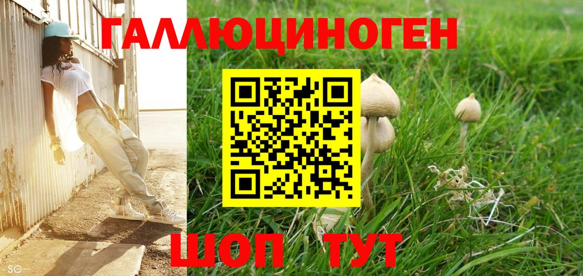 Галлюциногенные грибы Psilocybe  Вход с VPN  Сердобск 