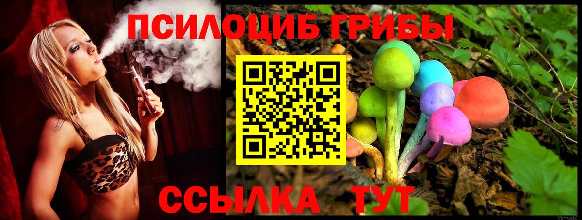 Псилоцибиновые грибы Psilocybe Сердобск